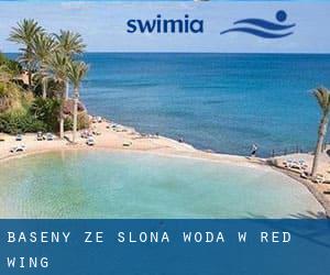 Baseny Ze slona woda w Red Wing