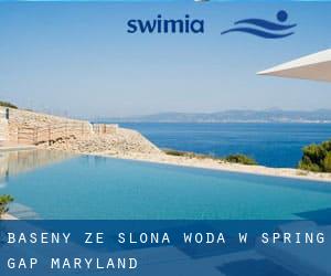 Baseny Ze slona woda w Spring Gap (Maryland)