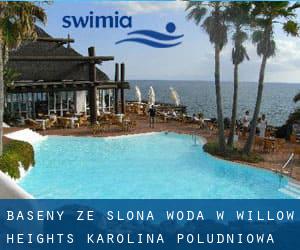 Baseny Ze slona woda w Willow Heights (Karolina Południowa)