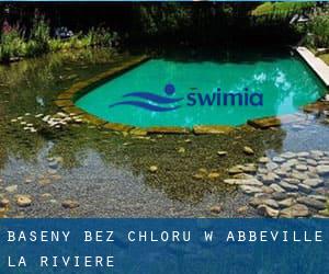 Baseny Bez chloru w Abbéville-la-Rivière