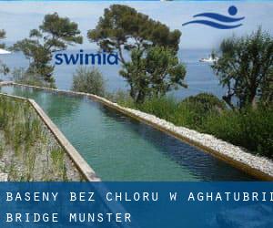 Baseny Bez chloru w Aghatubrid Bridge (Munster)