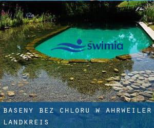 Baseny Bez chloru w Ahrweiler Landkreis