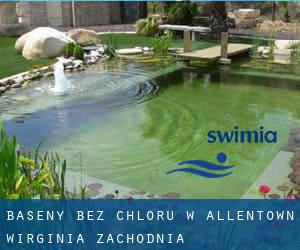 Baseny Bez chloru w Allentown (Wirginia Zachodnia)