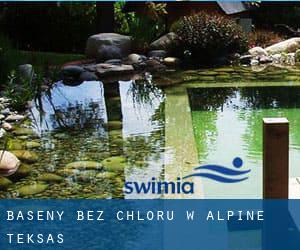 Baseny Bez chloru w Alpine (Teksas)