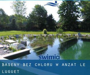 Baseny Bez chloru w Anzat-le-Luguet