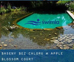 Baseny Bez chloru w Apple Blossom Court