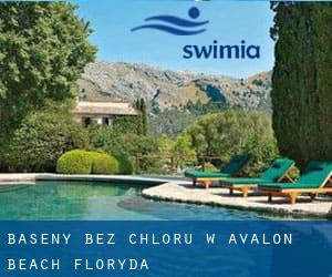 Baseny Bez chloru w Avalon Beach (Floryda)