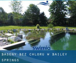 Baseny Bez chloru w Bailey Springs