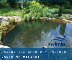 Baseny Bez chloru w Balfour North (Mpumalanga)