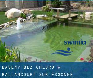 Baseny Bez chloru w Ballancourt-sur-Essonne