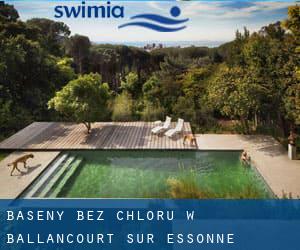 Baseny Bez chloru w Ballancourt-sur-Essonne