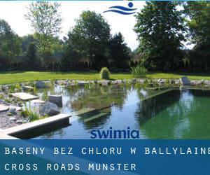 Baseny Bez chloru w Ballylaine Cross Roads (Munster)