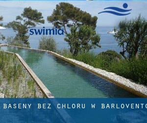 Baseny Bez chloru w Barlovento