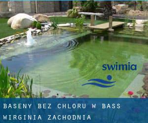 Baseny Bez chloru w Bass (Wirginia Zachodnia)