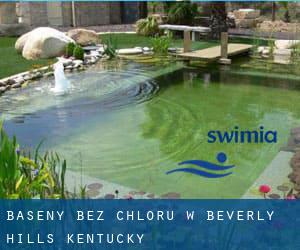 Baseny Bez chloru w Beverly Hills (Kentucky)