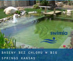 Baseny Bez chloru w Big Springs (Kansas)