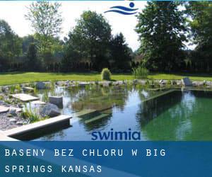 Baseny Bez chloru w Big Springs (Kansas)