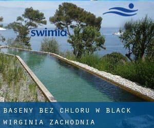 Baseny Bez chloru w Black (Wirginia Zachodnia)