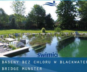 Baseny Bez chloru w Blackwater Bridge (Munster)