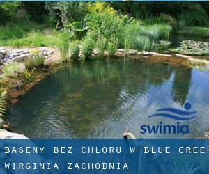 Baseny Bez chloru w Blue Creek (Wirginia Zachodnia)