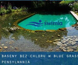 Baseny Bez chloru w Blue Grass (Pensylwania)