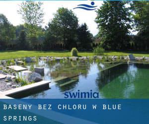 Baseny Bez chloru w Blue Springs