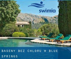 Baseny Bez chloru w Blue Springs