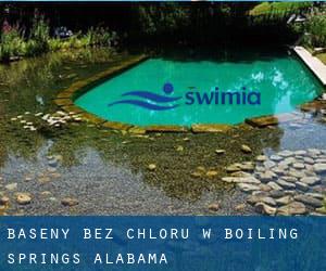 Baseny Bez chloru w Boiling Springs (Alabama)