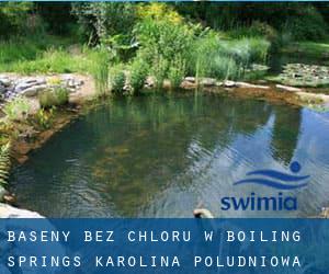 Baseny Bez chloru w Boiling Springs (Karolina Południowa)