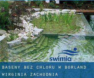 Baseny Bez chloru w Borland (Wirginia Zachodnia)