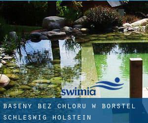 Baseny Bez chloru w Borstel (Schleswig-Holstein)