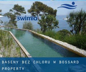 Baseny Bez chloru w Bossard Property