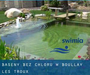 Baseny Bez chloru w Boullay-les-Troux