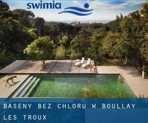 Baseny Bez chloru w Boullay-les-Troux