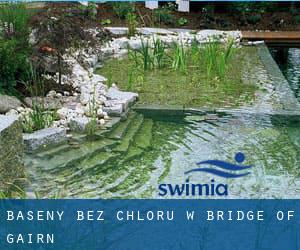 Baseny Bez chloru w Bridge of Gairn