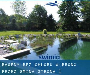 Baseny Bez chloru w Bronx przez Gmina - strona 1