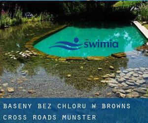 Baseny Bez chloru w Browns Cross Roads (Munster)