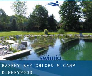 Baseny Bez chloru w Camp Kinneywood