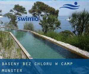 Baseny Bez chloru w Camp (Munster)