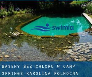 Baseny Bez chloru w Camp Springs (Karolina Północna)