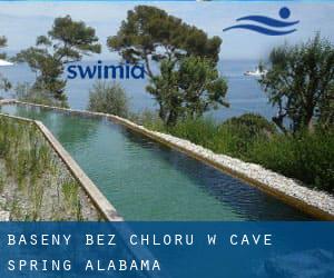 Baseny Bez chloru w Cave Spring (Alabama)