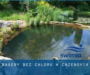 Baseny Bez chloru w Cazenovia