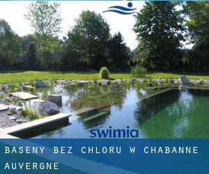 Baseny Bez chloru w Chabanne (Auvergne)