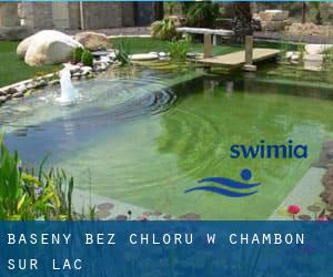 Baseny Bez chloru w Chambon-sur-Lac