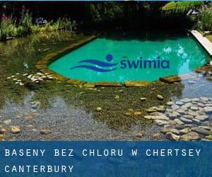 Baseny Bez chloru w Chertsey (Canterbury)