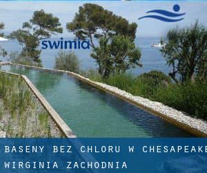 Baseny Bez chloru w Chesapeake (Wirginia Zachodnia)