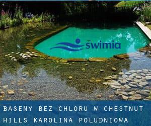 Baseny Bez chloru w Chestnut Hills (Karolina Południowa)