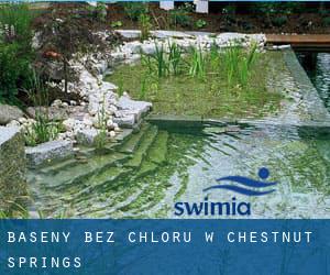 Baseny Bez chloru w Chestnut Springs