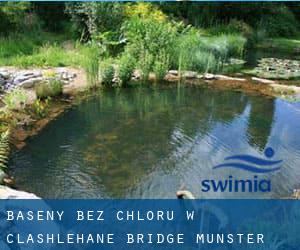 Baseny Bez chloru w Clashlehane Bridge (Munster)