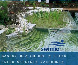 Baseny Bez chloru w Clear Creek (Wirginia Zachodnia)